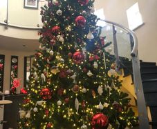 christmass tree