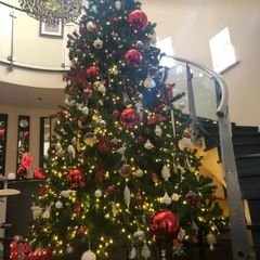 christmass tree