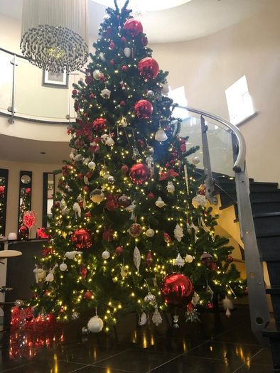 christmass tree