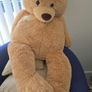 Big Teddy Image 2