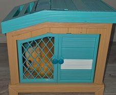 Little Live Pets Mama Surprise: Guinea Pig Playset