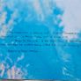 Laura Veirs - Years Of Meteors. Image 2