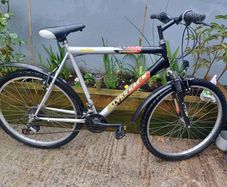 Saxon Mens bike