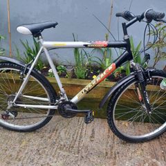 Saxon Mens bike