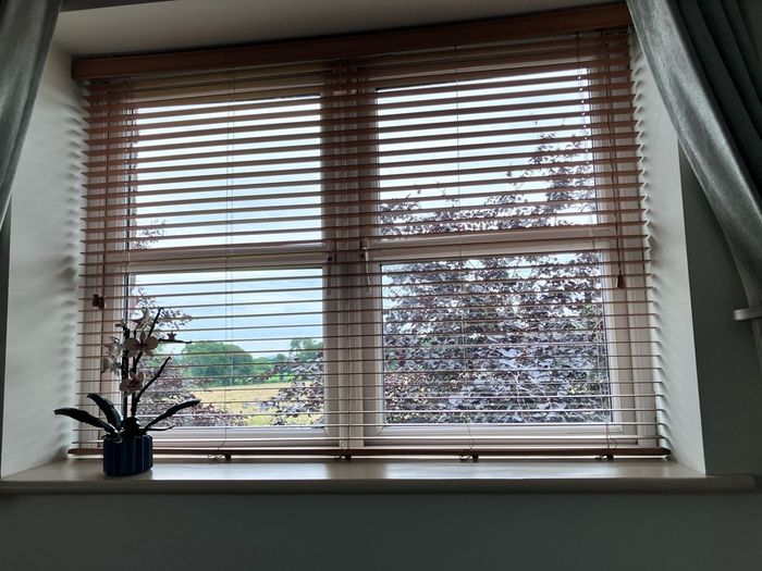 Venetian blinds