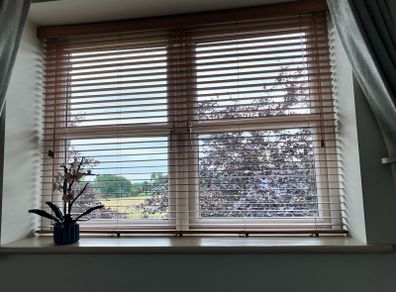 Venetian blinds