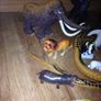 Collection of Jungle Animals 24 pieces Image 9