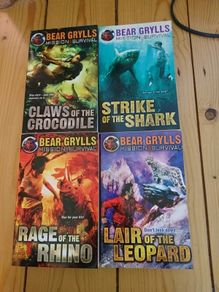 Bear Grylls books