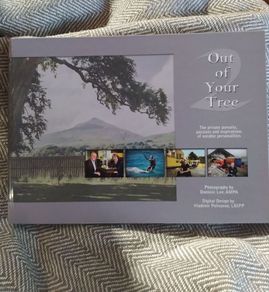Out of Your Tree/Book 2/ 2009