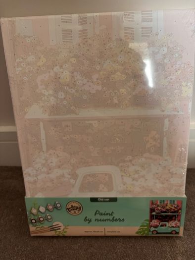 Paint by numbers kit