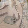 Baby bouncer Image 4