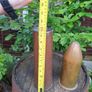 Military Shells Image 7