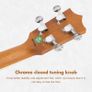 Banjolele 4 String Banjo Ukulele Concert Size 23 Inch Image 4