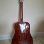 Eastman E1D Deluxe Image 5