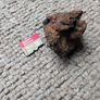 Meteorite Sericho pallasite Image 4