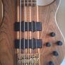 Peavey cirrus 5 walnut Image 4