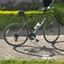 Trek hybrid FX1 Image 2