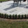 Box Hedging Image 7