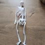 Rubber mini skeleton 30cm Image 3