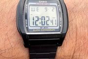 Casio W201