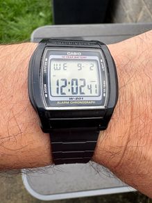Casio W201