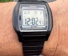 Casio W201