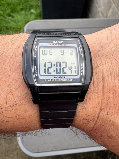 Casio W201