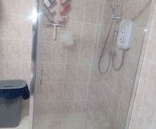 shower door and side panel