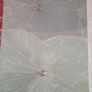 Photo Album out of Natural Material Image 3