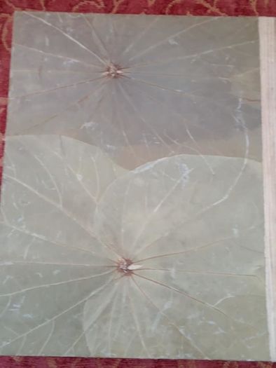 Photo Album out of Natural Material
