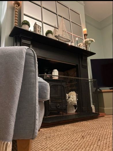 19th Century Antique Fire Fender