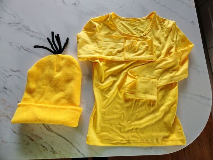 minions costume