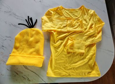 minions costume