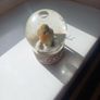snow globe Image 2