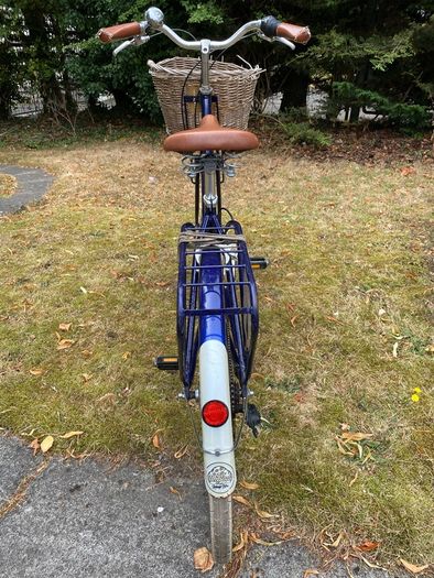 Raleigh Willow Women's Dutch Bike