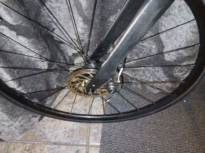 Trek Domane