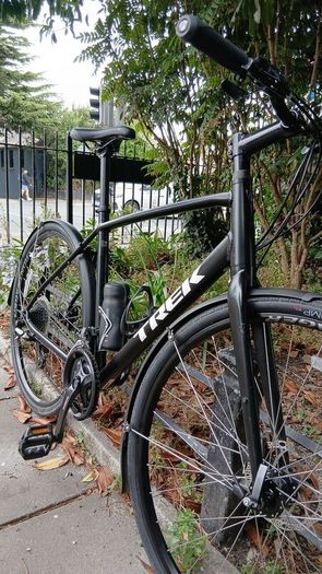 Trek fx 1