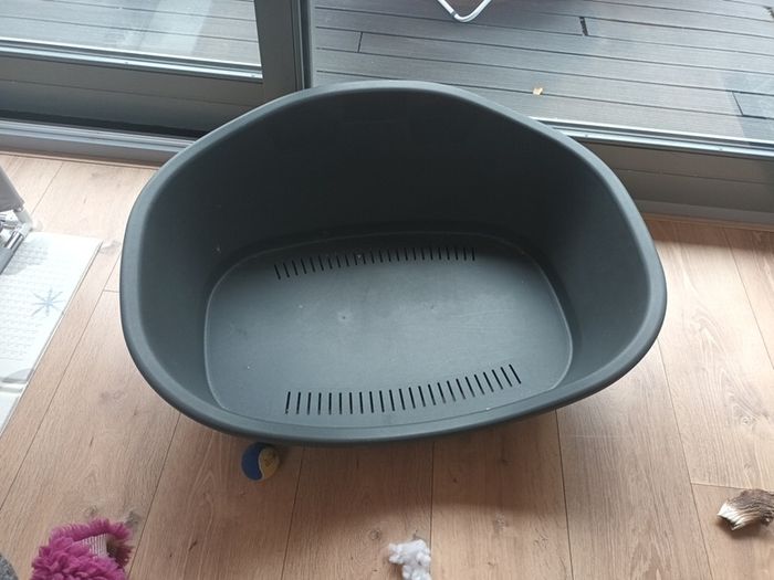dog bed