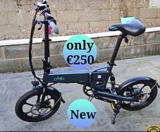 Fiido d2s electric folding bike