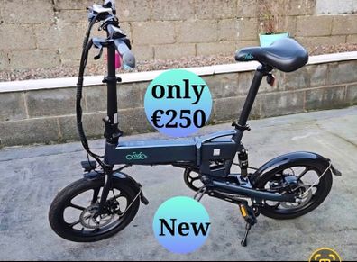 Fiido d2s electric folding bike