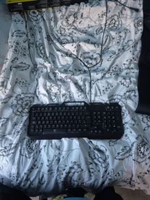 white shark keyboard