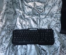 white shark keyboard