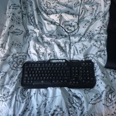 white shark keyboard
