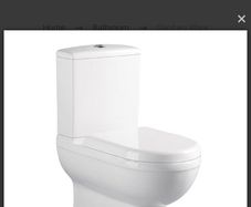 toilet seat with cistern