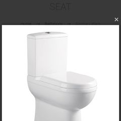 toilet seat with cistern