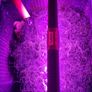 In-Sump Refugium Box Image 5