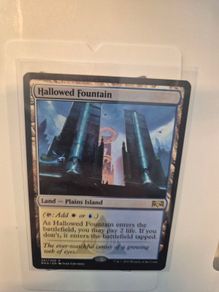 MTG Hallowed Fountain