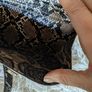 Handbag by Carlos Santana Image 4