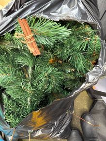christmas tree branches
