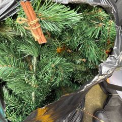 christmas tree branches